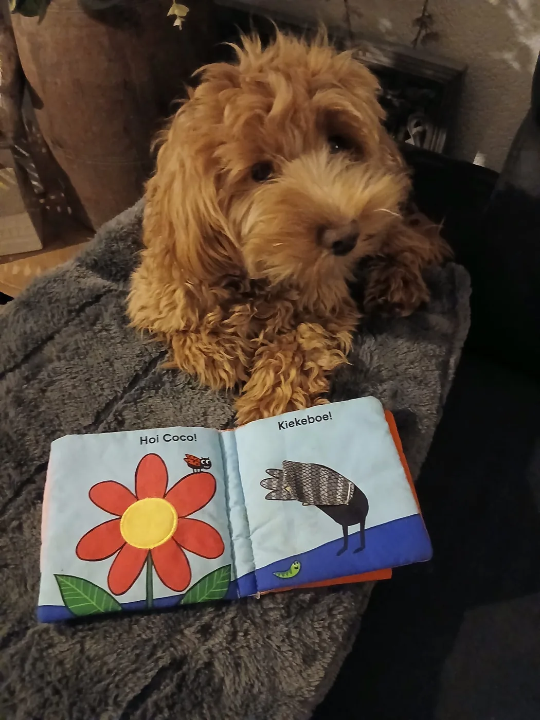 Coco met haar knuffelboekje